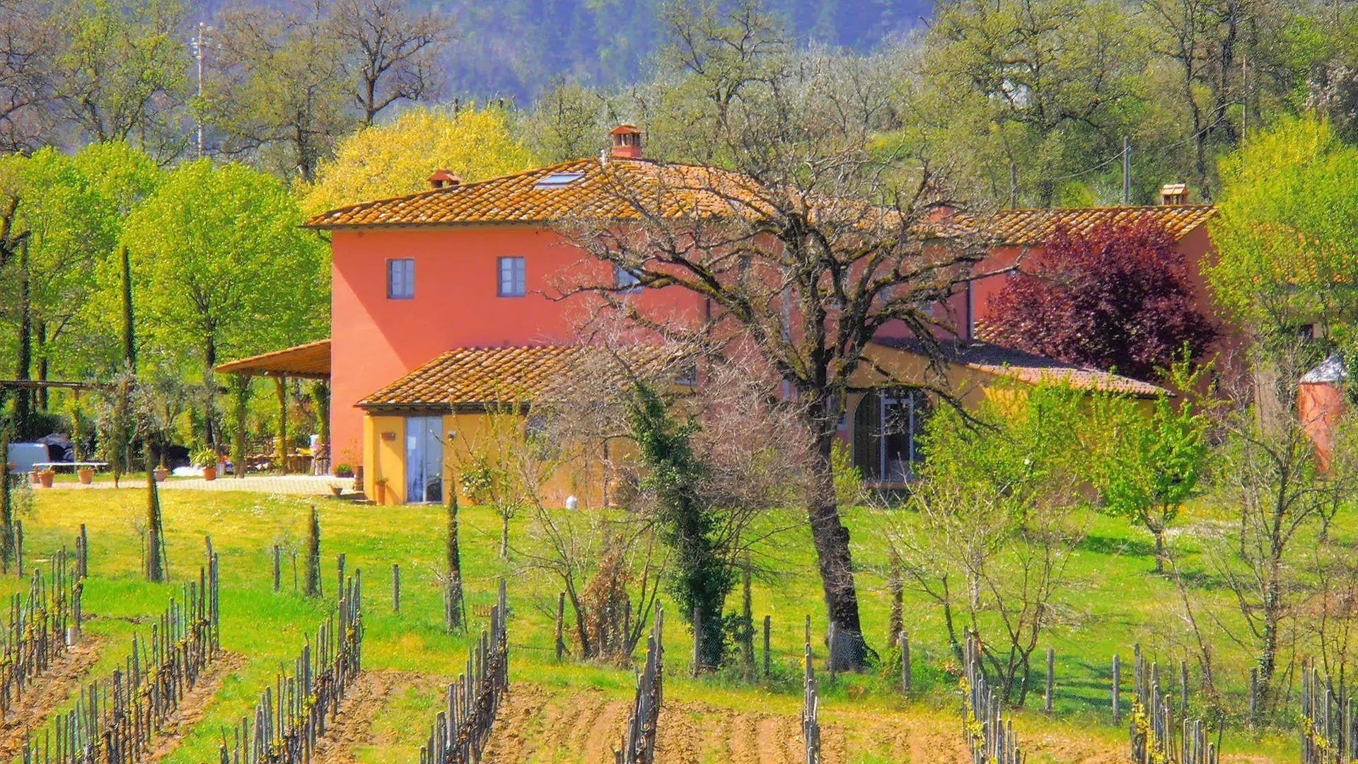 Agriturismo Relais Campiglioni Montevarchi Farm stay