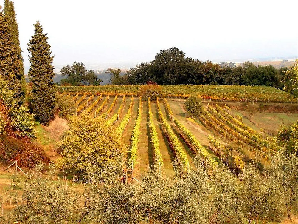 Alloggio per agriturismo Villa Campiglioni Montevarchi